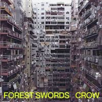 Forest Swords - Crow