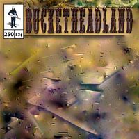 Buckethead - 250