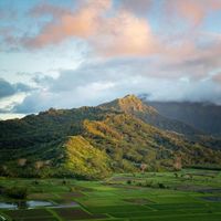 Tim Carroll - Sunshine