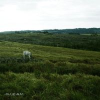Gleam - Back Hug