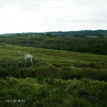 Gleam - Back Hug