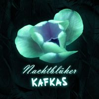 Kafkas - Nachtblüher