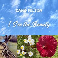 David Felton - I See the Beauty