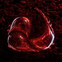 BLURREDMOVEMENT, Deep Dimension - NEVER FADE AWAY
