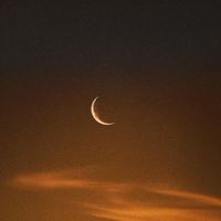 Miro - Softly