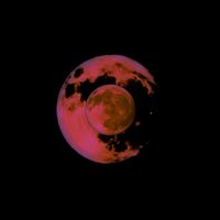 Monophobe - No Matter What (No One Will Ever Love You)