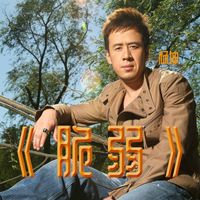 杨坤 - 脆弱