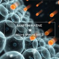 Martin Haene - Micro Macro Vol.2