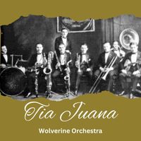 Wolverine Orchestra - Tia Juana