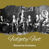Wolverine Orchestra - Fidgety Feet