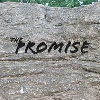 Joe Johnson - The Promise