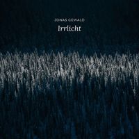 Jonas Gewald - Irrlicht