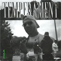 Hulk - Temperament (Explicit)