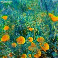 Dailon - Rebirth