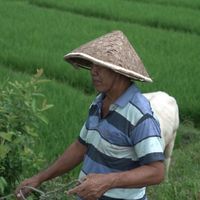 BARACUDA - semangat kerja