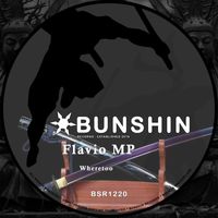 Flavio MP - Wheretoo