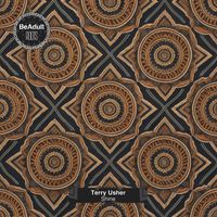 Terry Usher - Shine