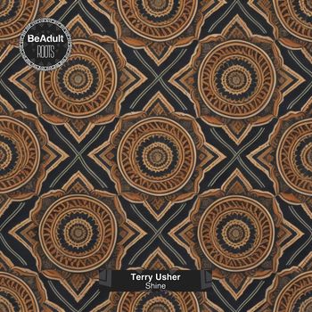 Terry Usher - Shine