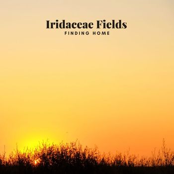 Iridaceae Fields - Finding Home