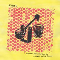 runt - Eternal Satisfaction in a Sugar Water Feeder