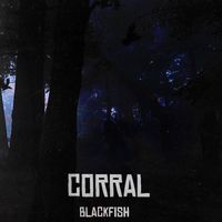 Blackfish - Corral