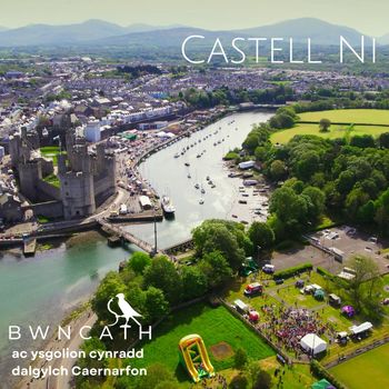 Bwncath - Castell Ni