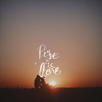 crazy cat - rise in love