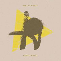 niklas wandt - Forellental (Simas Slabačiauskas Remix)
