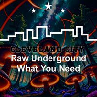 Raw Underground - What You Need