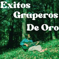 Profeta - Exitos Gruperos De Oro