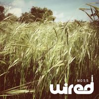 Stavroz - Playground Party