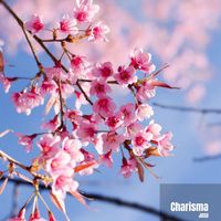 Josu - Charisma