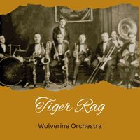 Wolverine Orchestra - Tiger Rag