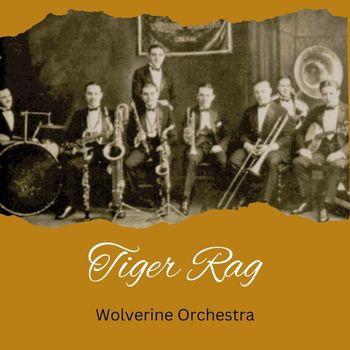 Wolverine Orchestra - Tiger Rag