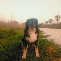 Broken Lip - a song for Tina
