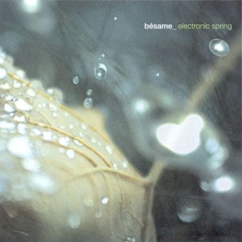 Various Artists - Bésame_Electronic Spring