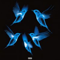 SLUSH - Cycle(s) (Explicit)