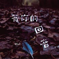 Vivi - 等你的回音