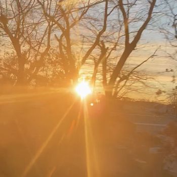 Daedelus - Way Out!