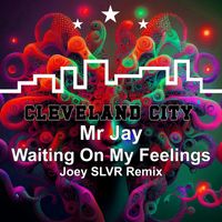 Mr Jay - Waiting on My Feelings (Joey SLVR Remix)