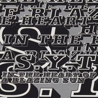 SYT - In The Heart Of A Blazing Sun