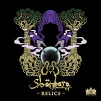 Shankara NZ - Relics