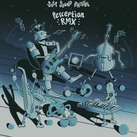 DLR & MC Fokus & Script - Perception Remixes