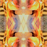 QUBE - RISE AND