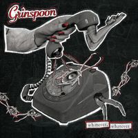 Grinspoon - Never Say Never
