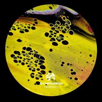 VIVEZ - Thermal (Remixes) (Syep026)