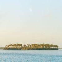 Dalmoori - a sip of summer