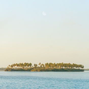 Dalmoori - a sip of summer