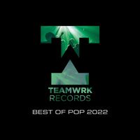 Teamwrk Records - Teamwrk Pop - Best Of 2022