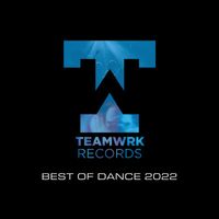 Teamwrk Records - Teamwrk Dance - Best Of 2022